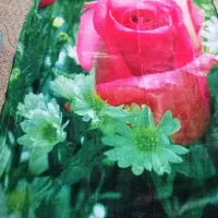 پتو|رختخواب، بالش، پتو|آباده, |دیوار