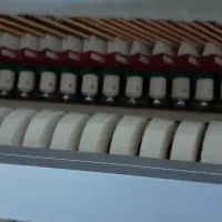 پیانو اگوستیک نوردیسکا|پیانو، کیبورد، آکاردئون|تهران, سردارجنگل|دیوار