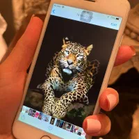 گوشی  آیفون )اپل) ۶۴ اصل آمریکا lla