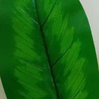 برگ مصنوعی