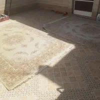 فرش ۶متری یک جفت