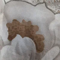 تونیک مجلسی