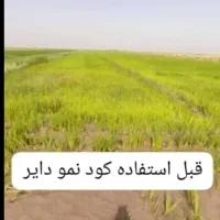 کود نمودایر|لوازم جانبی حیوانات|اهواز, امانیه|دیوار