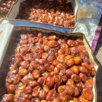 خرما همه نمونه
