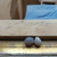 سنگ باباقوری|جواهرات|بوشهر, |دیوار