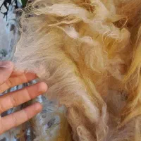 تولید پشم گوسفند و تشک و لحاف و بالش