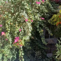 اجاره منزل مسکونی|اجارهٔ خانه و ویلا|قم, شهرک سازمان آب|دیوار