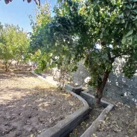باغچه چهار دیواری به مساحت ۸۸۰مترمربع|فروش زمین و ملک کلنگی|رباط‌کریم, شهرک صنعتی صباشهر|دیوار