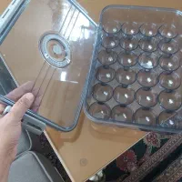 جاتخم مرغی وارداتی زیبا مناسب جهیزیه|ظروف نگهدارنده، پلاستیکی، یک‌بارمصرف|تهران, حکیمیه|دیوار