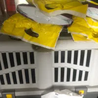 باکس سگ|لوازم جانبی حیوانات|کیش, |دیوار