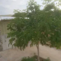 اجاره کارگاهی