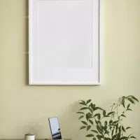 همخونه خانم