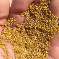بذر یونجه کد گذاری شده