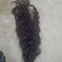 فروش و خریدار مو