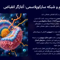 طراحی حرفه ای پاورپوینت|خدمات آموزشی|قم, پردیسان|دیوار