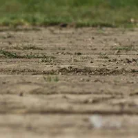 فروش زمین جاده شاندیز-سنتو