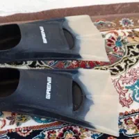 فین  شنا و غواصی