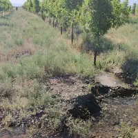 زمین فرو شی