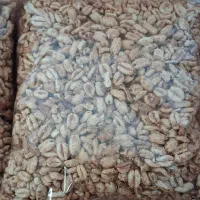 گندمک شیرین|خوردنی و آشامیدنی|محمدشهر, جعفرآباد|دیوار