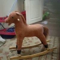 اسب|اسب و تجهیزات اسبسواری|مشهد, کوی سیدی|دیوار