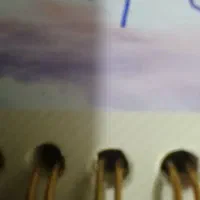 پلاک خودرو گمشده مژگانی دریافت میشود