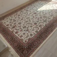 قالی نو تازه پلاستیکشو دراوردم|فرش|امامزاده عبدالله, |دیوار