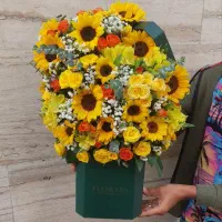 باکس گل ویژه روز دختر|گل و گیاه طبیعی|تهران, مهرآباد جنوبی|دیوار