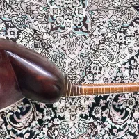 تارحرفه ای مهردار|سازهای سنتی|تهران, فردوس|دیوار