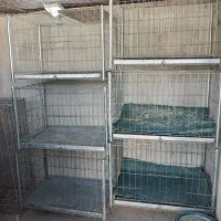 قفس جفت کن کبوتر|لوازم جانبی حیوانات|ایلام, |دیوار