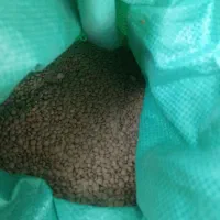 حبوبات عدالت