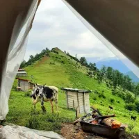 دربستی از ماسال به تمام نقاط کشور|خدمات حمل و نقل|ماسال, |دیوار