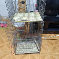 قفس پرنده|لوازم جانبی حیوانات|مشکین‌دشت, |دیوار