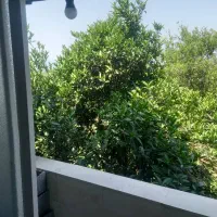 اجاره سالانه خانه در اسکومحله امام‌زاده عبدالله