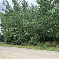 ۷۰۰ متر زمین سیاه اسطلخ برِ جاده|فروش زمین و ملک کلنگی|رشت, سیا اسطلخ|دیوار