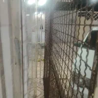تخت ۲ونیم در ۲ونیم بهترین جنس محکم