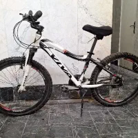 دوچرخه ویوا تایوانی