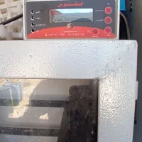 دستگاه جوجه کشی ققنوس در حدنو|عمدهفروشی|گالیکش, |دیوار