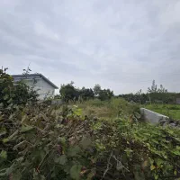 ۲۲۵ متر زمین مسکونی دور دیوار روستایی رضوانشهر|فروش زمین و ملک کلنگی|رضوانشهر, |دیوار