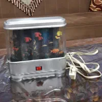 شبخواب آکواریمی