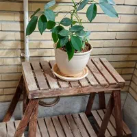 استند گل|کتابخانه، شلف، قفسه‌های دیواری|کرج, اصفهانی‌ها|دیوار