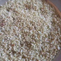 برنج محلی|خوردنی و آشامیدنی|بروجرد, |دیوار