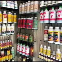 باغبانی و سم پاشی و حرس کردن|خدمات باغبانی و درختکاری|مشهد, وکیل‌آباد|دیوار