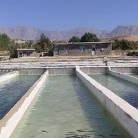 فروش خط موبایل همراه اول