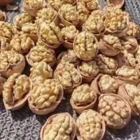 فروش عمده گردو خارجی باکیفیت قیمت خوب|خوردنی و آشامیدنی|اصفهان, شهرک کاوه|دیوار
