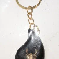 سر کلیدی طرح عقرب نو