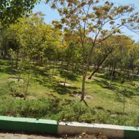 درخواست سرویس مدارس