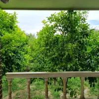 زمین مسکونی ۱۵۷متر