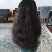 موی طبیعی|آرایشی، بهداشتی، درمانی|رشت, آب و برق|دیوار