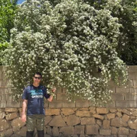 600متر باغشهری مجتمع گلستان گویم