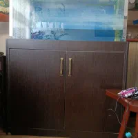 اکواریوم